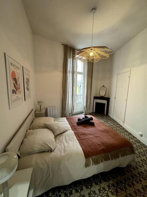 La Real - Apt 2 Chambres Renove 佩皮尼昂 外观 照片